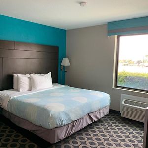 One-Bedroom King Suite